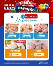 Catálogo Surtifamiliar Página 1