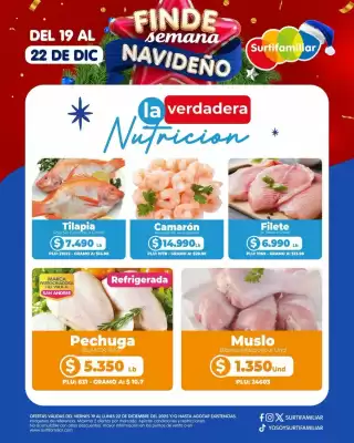 Catálogo Surtifamiliar (válido hasta 22-12)