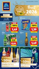 Hofer Flugblatt Seite 1