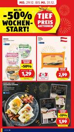 Hofer Flugblatt Seite 12