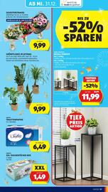 Hofer Flugblatt Seite 21