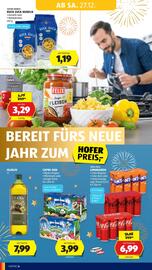 Hofer Flugblatt Seite 6