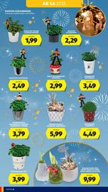 Hofer Flugblatt Seite 8