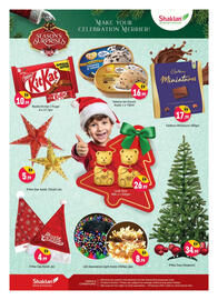 Shaklan leaflet Page 2