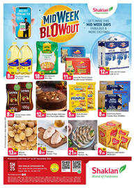 Shaklan leaflet Page 1