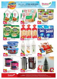 Shaklan leaflet Page 2