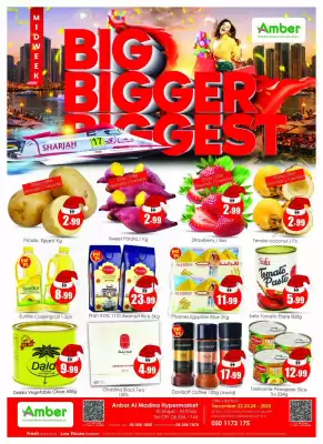 Amber catalogue (valid until 24-12)