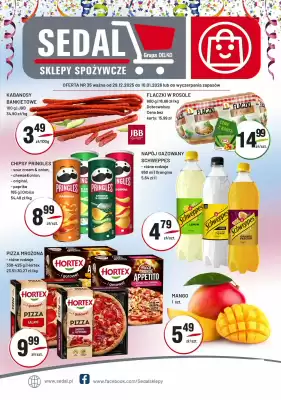 Sedal gazetka (ważność do 10-01)
