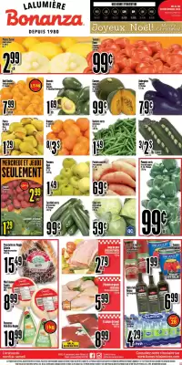 Bonanza flyer (valid until 30-12)