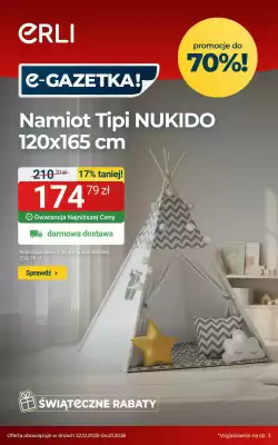 ERLI gazetka (ważność do 4-01)