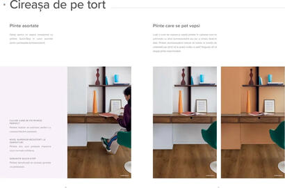 Catalog Proges Pagină 17