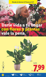 Catálogo Lidl semana 1 Página 32