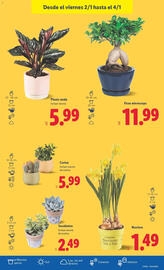 Catálogo Lidl semana 1 Página 33