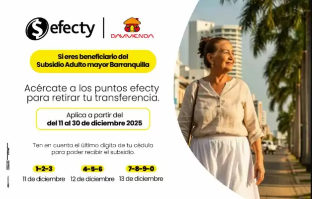 Catálogo Efecty (válido hasta 30-12)