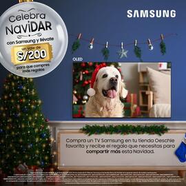 Catálogo Oechsle Página 1