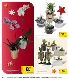 Carrefour folder Pagina 10