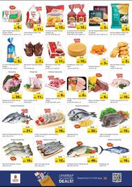 Nesto catalogue Page 3