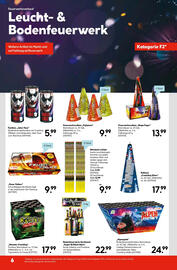 Hellweg Prospekt Seite 6