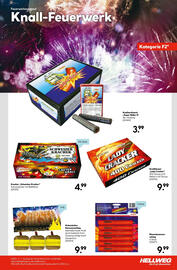 Hellweg Prospekt Seite 7