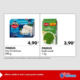 Volantino Iper Tosano settimana 52 Pagina 4