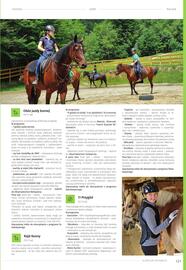 Almatur gazetka Strona 121