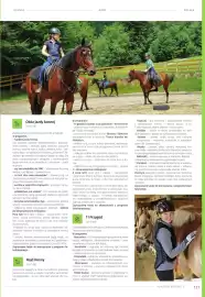 Almatur gazetka Strona 121