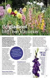 Ditjes en datjes folder Pagina 39