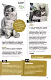 Ditjes en datjes folder Pagina 83