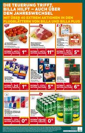 Billa Corso Flugblatt Seite 21