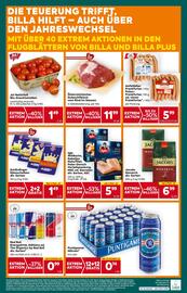 Billa Box Flugblatt Seite 20