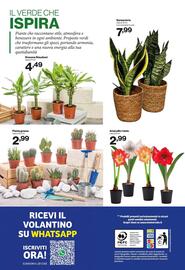 Volantino In'S Mercato Pagina 13