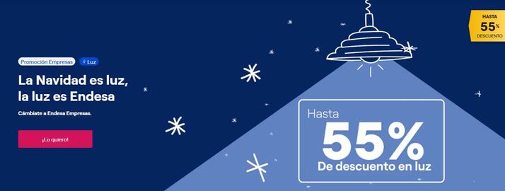 Folleto ENDESA Página 3