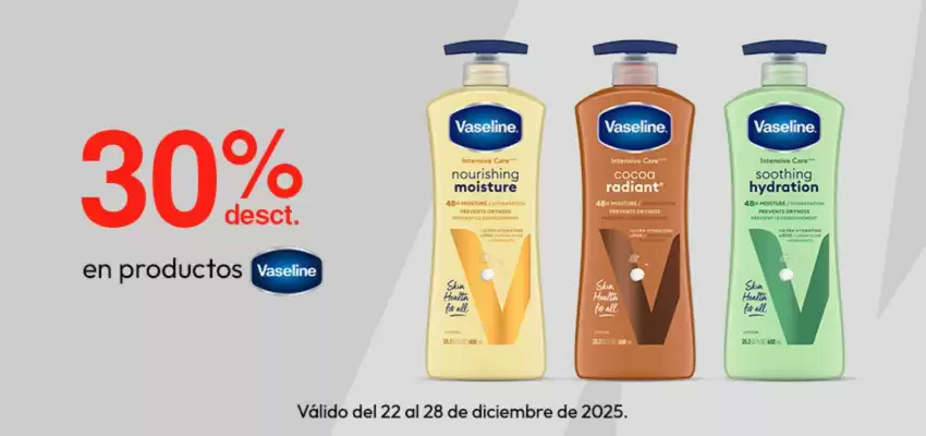 Catálogo Metro (válido hasta 28-12)