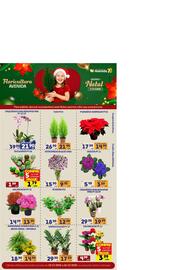 Catálogo Supermercados Avenida Página 7