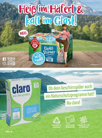 Billa Flugblatt Seite 106