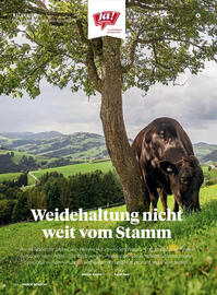 Billa Flugblatt Seite 110