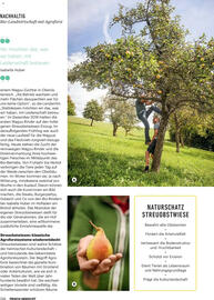 Billa Flugblatt Seite 112