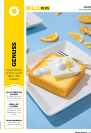 Billa Flugblatt Seite 115