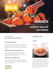 Billa Flugblatt Seite 146