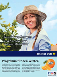 Billa Flugblatt Seite 163