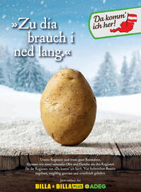 Billa Flugblatt Seite 46