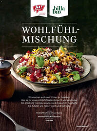 Billa Flugblatt Seite 93