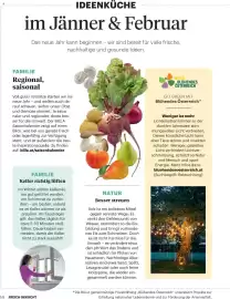 Billa Flugblatt Seite 10