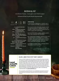 Billa Flugblatt Seite 101