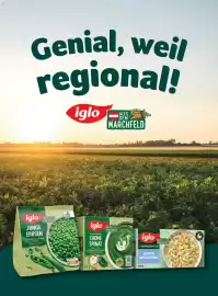 Billa Flugblatt Seite 102