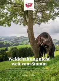 Billa Flugblatt Seite 110