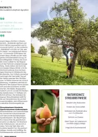 Billa Flugblatt Seite 112