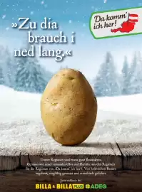 Billa Flugblatt Seite 46