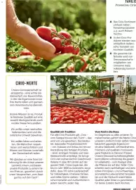 Billa Flugblatt Seite 59