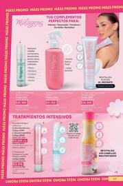 Catálogo Nova Venta Página 64